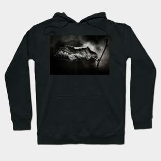 Outside my window Hoodie